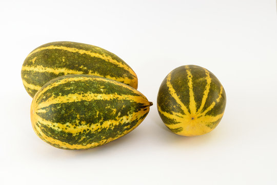 Cucumber yellow