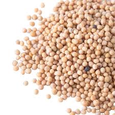 WHITE MUSTARD