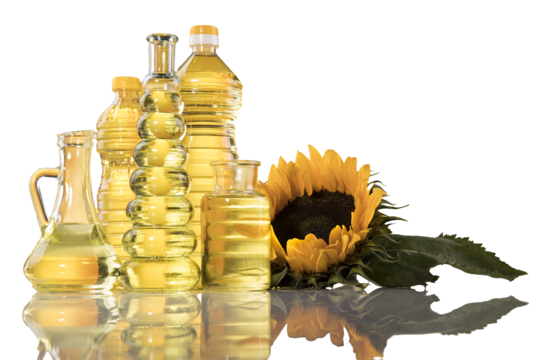 Rapeseed