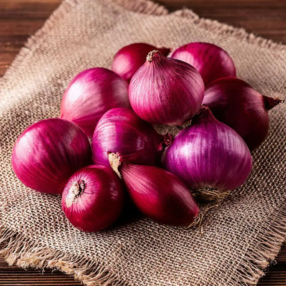 Rose onions media 2