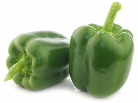 FRESH CAPSICUM