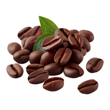 Raw Coffee Beans