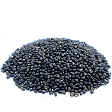 Urad whole
