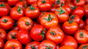TOMATOES