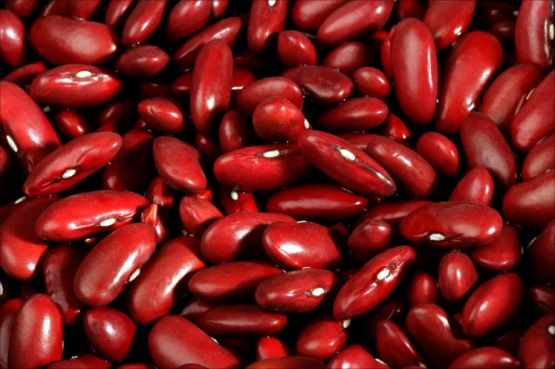 Kidney Beans ( Rajma )