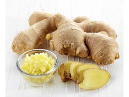 GINGER
