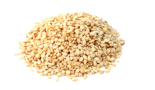 Soyabean