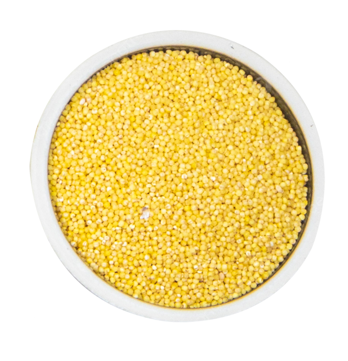Foxtail Millet