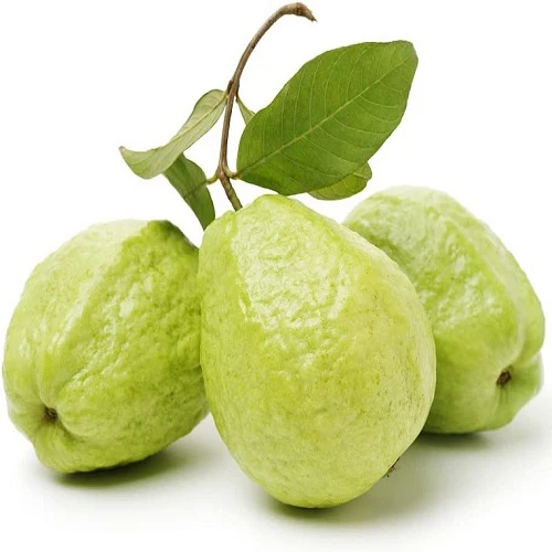 Guava