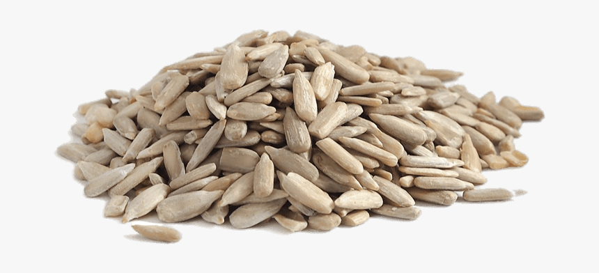 Sunflower seed
